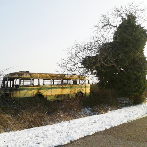 Bus